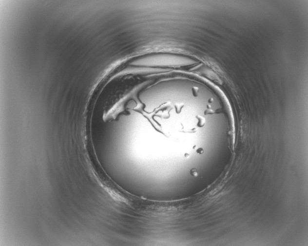 X0000055980438200509162229