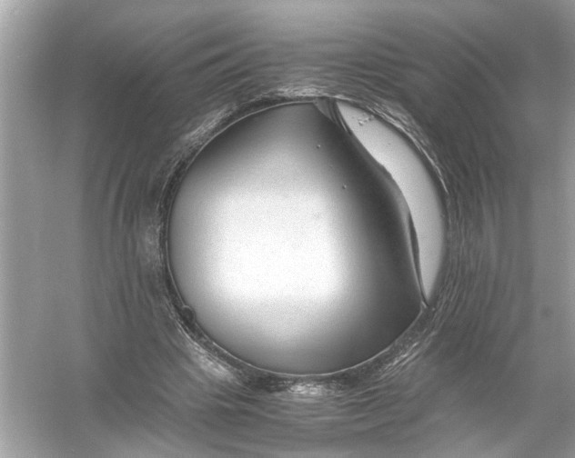 X0000055980441200509162229