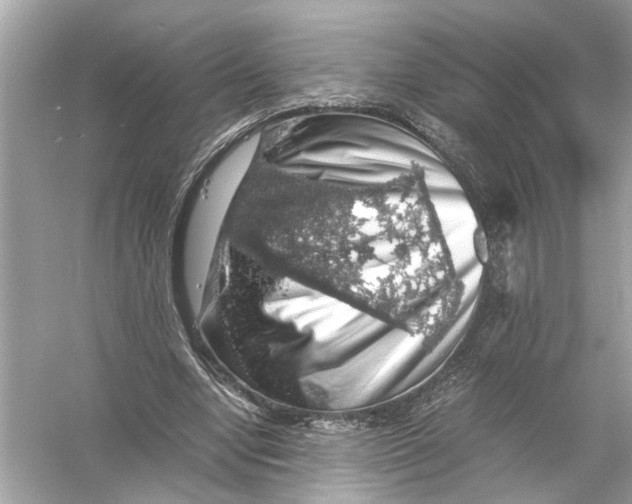 X0000055980442200509162229