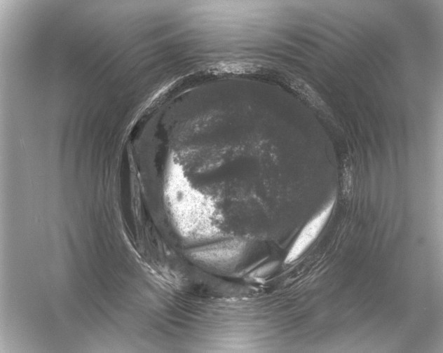 X0000055980444200509162229