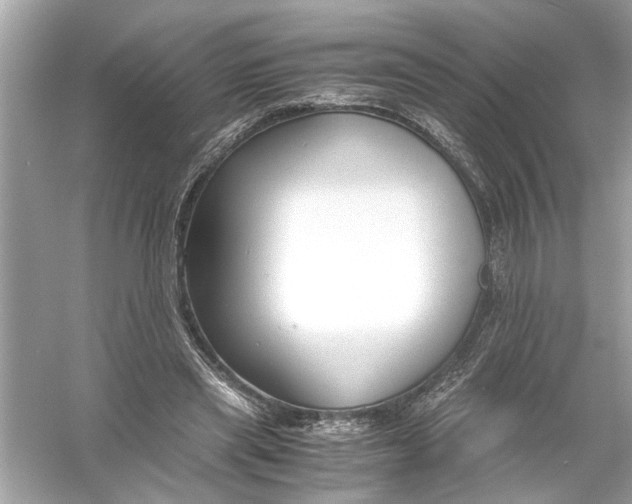 X0000055980445200509162229