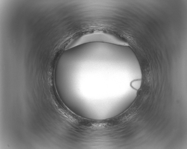 X0000055980450200509162230