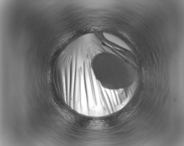 X0000055980451200509162230
