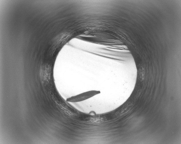 X0000055980458200509162230