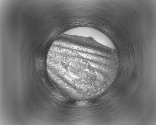 X0000055980461200509162230