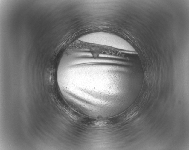 X0000055980462200509162230