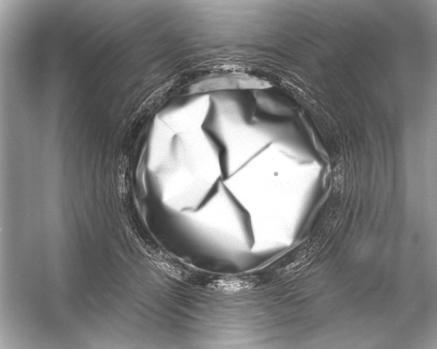 X0000055980464200509162230