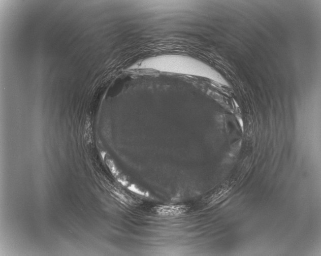 X0000055980465200509162230