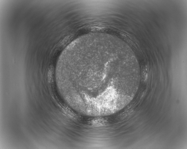 X0000055980468200509162230