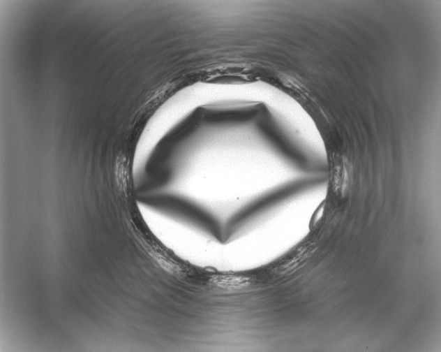 X0000055980476200509162230