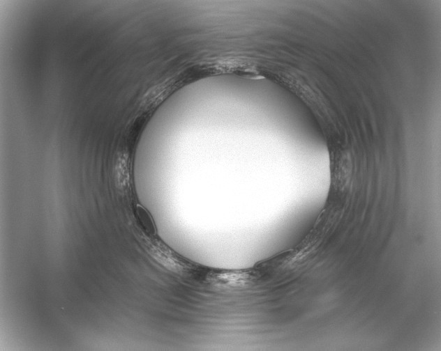 X0000055980478200509162230