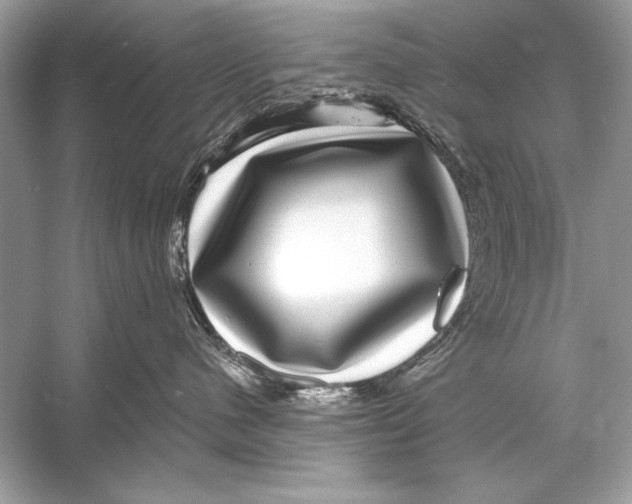 X0000055980480200509162230