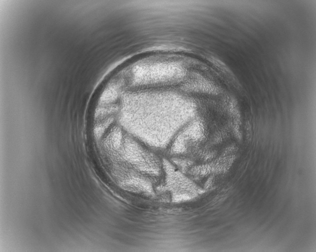 X0000055980484200509162229