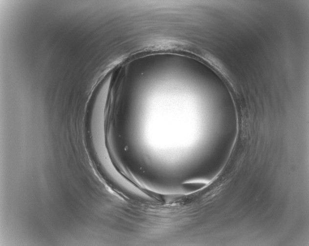 X0000055980485200509162229