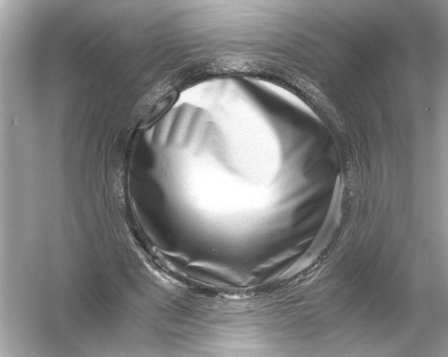 X0000055980489200509162229