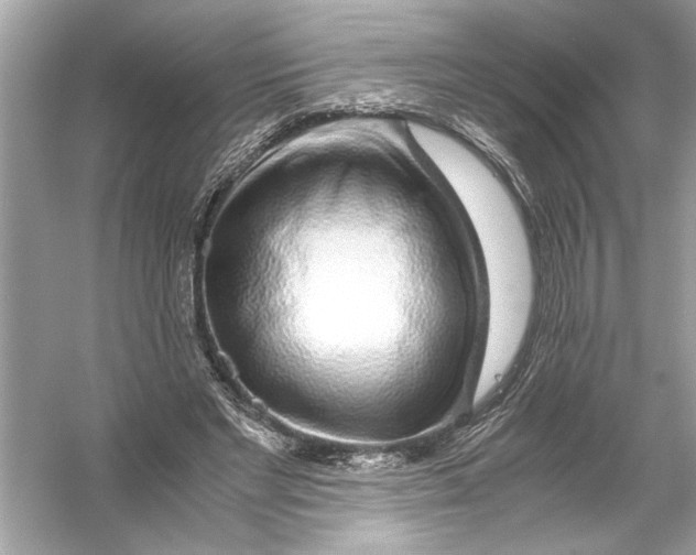 X0000055980493200509162229