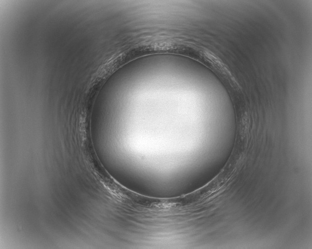 X0000055980497200509162229