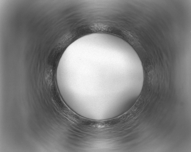 X0000055980498200509162229