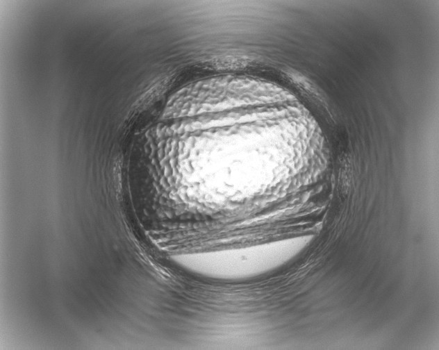 X0000055980501200509162229