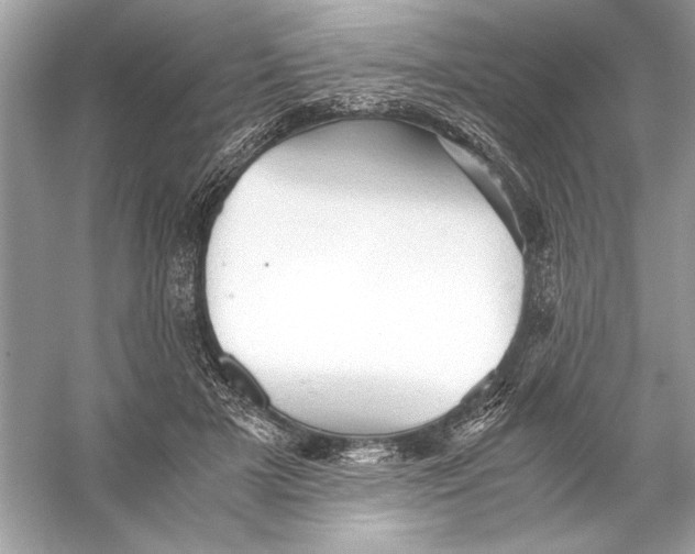 X0000055980505200509162229