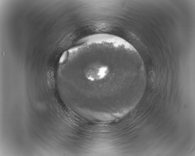X0000055980506200509162229