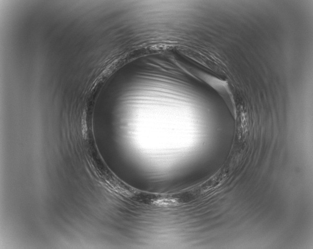 X0000055980508200509162229