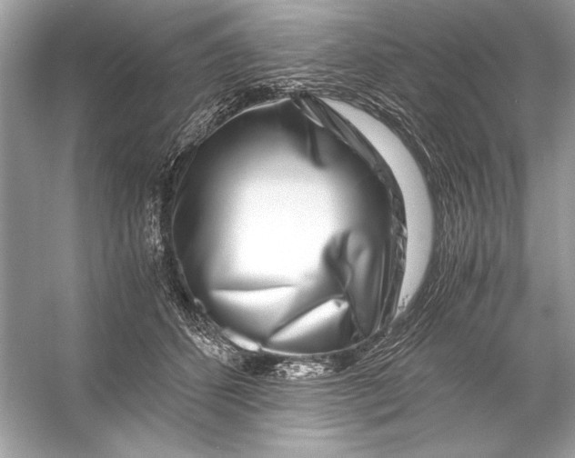 X0000055980512200509162229