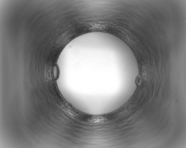 X0000055980514200509162229