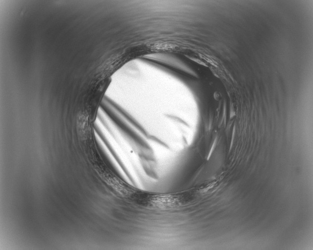 X0000055980521200509162229