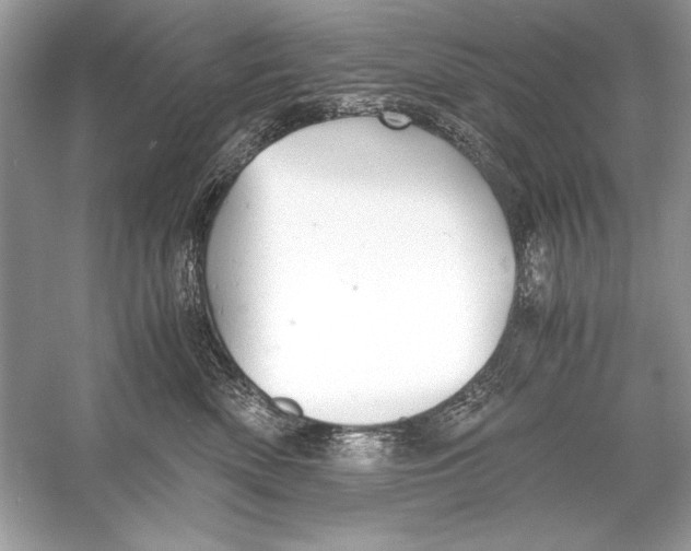 X0000055980522200509162229