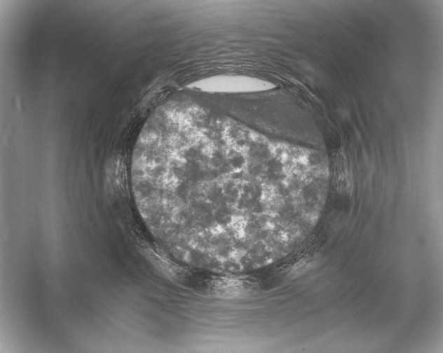 X0000055980523200509162228