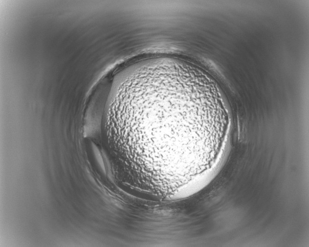 X0000055980531200509162228