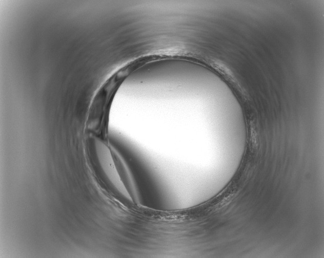 X0000055980532200509162228