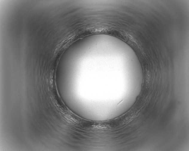X0000055980545200509162228