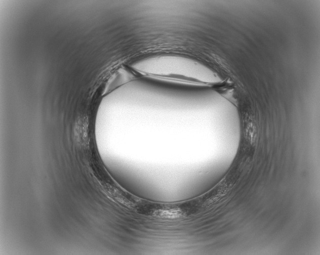 X0000055980548200509162228