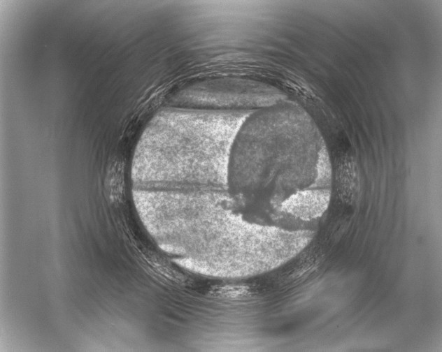 X0000055980554200509162228