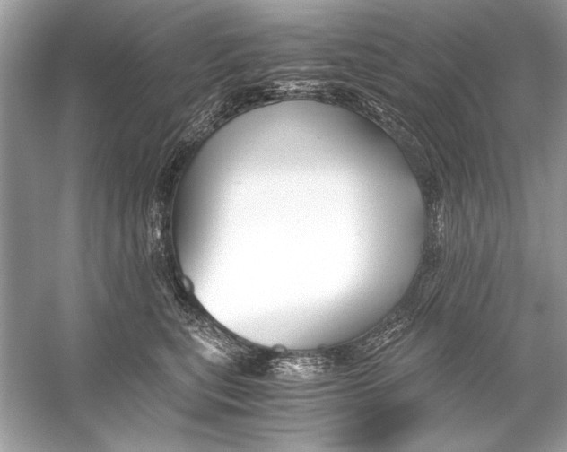 X0000055980567200509162228