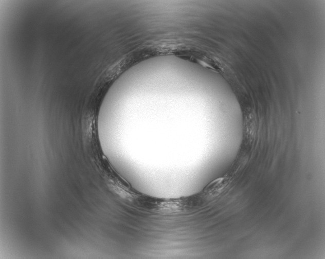 X0000055980574200509162228