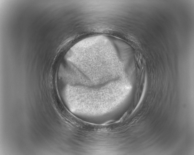 X0000055980587200509162227