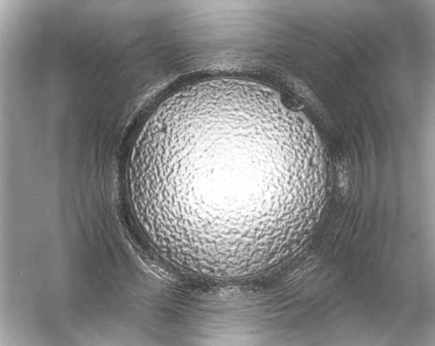 X0000055980588200509162227