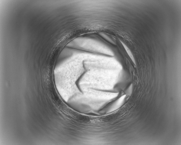 X0000055980591200509162227