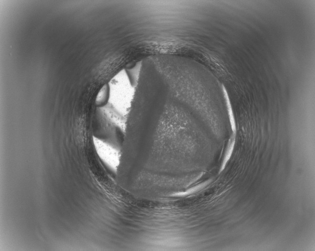 X0000055980594200509162227
