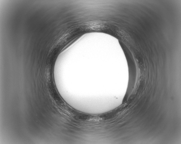 X0000055980595200509162227