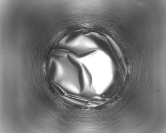 X0000055980597200509162227