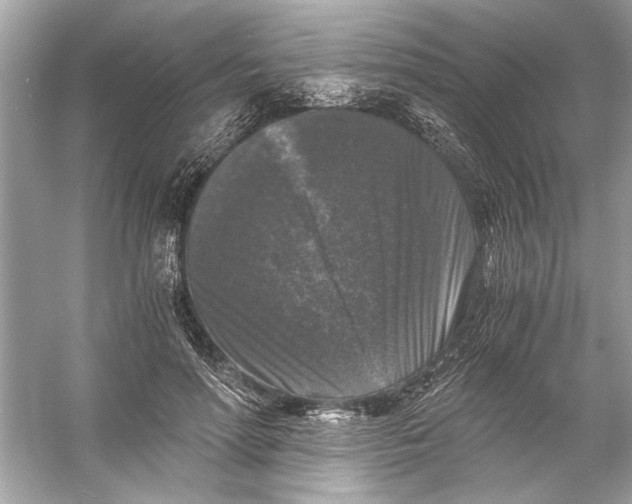 X0000055980598200509162227