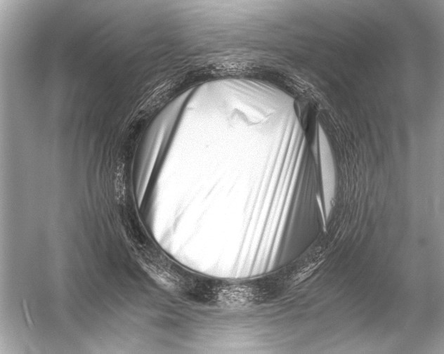 X0000055980599200509162227