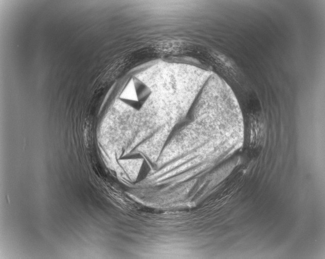 X0000055980601200509162227