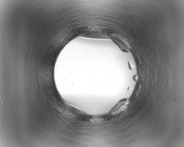 X0000055980603200509162227