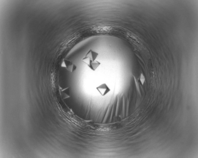 X0000055980604200509162227