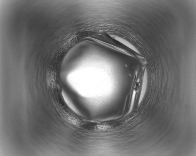 X0000055980605200509162227